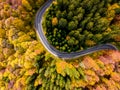 Curved Winding Road in the Forest