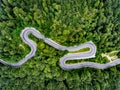 Curved winding road trough the forest aerial view