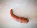 Curved withered carrot isolated on wood texture background, shrivel inedible overripe vegetable, food decay concept