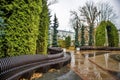 Curved wooden bench among coniferous plants in the park after the rain