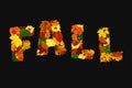 Curved word FALL made with colorful fall leaves, physalis lanterns Physalis alkekengi, dog-rose fruits and acorns, on black Royalty Free Stock Photo