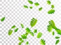 Forest foliage vivid vector illustration.