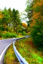 curvey in autumn forest with the view following the crash barriers