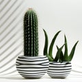 Curvilinear Cactus Plants In Striped Vase: Eye-catching Organic Sculpting