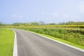 Curving asphalt road in colorful summer green on sunny day