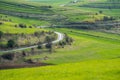 Curving asphalt road through green agricultural fields at springtime in Transylvania