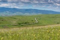 Curving asphalt road on green hills at springtime , spring flowers on green meadow on the foreground