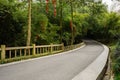 Curving asphalt road in verdant spring woods on sunny day Royalty Free Stock Photo