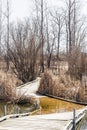 Curving boardwalk through a springtime marsh