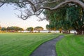 Curving concrete path leading under shady pohutukawa trees to waterfront at sunrise Royalty Free Stock Photo