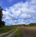 Curving Country Path Between Plowed Field and Forest Under Dramatic Summer Clouds Royalty Free Stock Photo