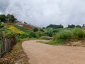 A curving country road in Chiang Mai province