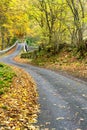 Autumn leaves on a country road leading over an old stone bridge Royalty Free Stock Photo
