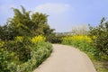 Curving countryroad in flowers on sunny day