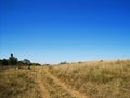 CURVING DIRT ROAD IN A GRASSLAND STRETCHING OVER THE SLOPE OF A GENTLE HILLAGAINST A CLEAR BLUE SKY IN A SOUTH AFRICAN LANDSCAPE