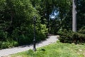 Empty Shaded Trail with Green Trees and Plants at Central Park in New York City during Spring with a Street Light