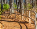 Curving Fence on Winding Forest Path Royalty Free Stock Photo