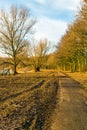 Curving footpath in autumnal park along a lake Royalty Free Stock Photo