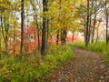 Curving Forest Path Winds Around Vibrant Fall Colors with Autumn Leaves Royalty Free Stock Photo