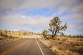 A curving highway through a desert