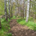 Curving hiking trail in Big Springs Park Utah