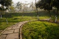 Curving hillside stone path in grass of sunny winter morning Royalty Free Stock Photo