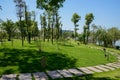 Curving lakeside path in lawn on sunny summer day