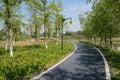 Curving path along river in sunny spring morning