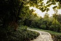 Curving path in grass and trees in late afternoon Royalty Free Stock Photo