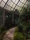 Curving path inside greenhouse building