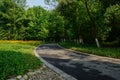 Curving path in shady woods of sunny summer morning Royalty Free Stock Photo