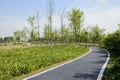 Curving path to bridge in sunny spring morning