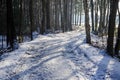 Curving path in winter Royalty Free Stock Photo