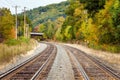 Curving Railway Tracks through a Forest Royalty Free Stock Photo