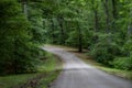 Curving road through the forest Royalty Free Stock Photo