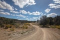 Curving road in the Little Book Cliffs National Monument near Grand Junction Colorado United States