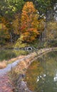 Curving Woodland Trail in Steele Creek Park Royalty Free Stock Photo