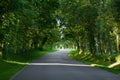 A curvy asphalt road through a green forest.