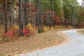 Curvy Autumn road Royalty Free Stock Photo