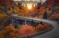 Curvy autumn road Royalty Free Stock Photo