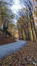 Curvy autumn road through the mountains Royalty Free Stock Photo