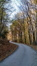 Curvy autumn road through the mountains Royalty Free Stock Photo