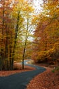 Curvy autumn road Royalty Free Stock Photo