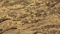 Curvy beige sandstone rock texture background with shadows,