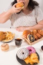 Curvy female preparing to eat hamburger, overeating problem, depression Royalty Free Stock Photo