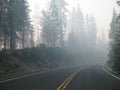 Curvy Foggy Road in California, traveling to Yosemite