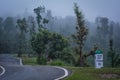 Curvy Himalyan mountain Road with tall trees covered in Fog and a milestone