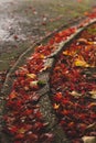 Curvy path filled with autumn leaves