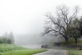 Curvy road in autumn mist with an old shabby house under a bare tree, gray rural landscape in the country, dangerous fog weather f