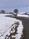 Curvy road and bare tree covered with snow Royalty Free Stock Photo